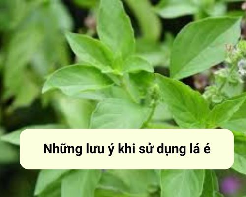 nhung-luu-y-khi-su-dung-la-e